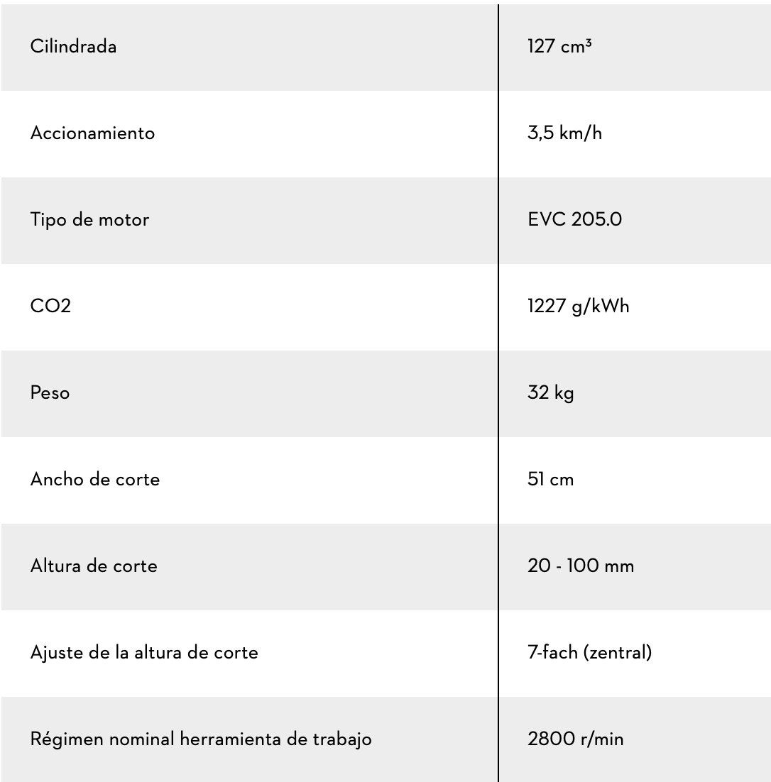 CORTACÉSPED DE GASOLINA RM 253 T